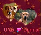 Urax & Damisi